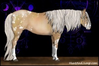 Horse Color:Silver Black Pearl Sabino 