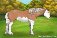 Horse Color:Silver Bay Roan Splash 