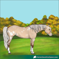Horse Color:White Spotted Silver Bay Dun Splash 