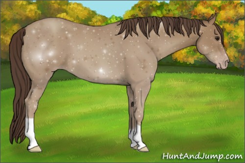 Horse Color:Classic Champagne 