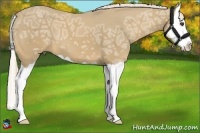 Horse Color:Palomino Ice Splash