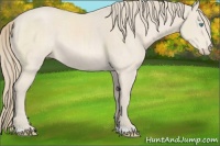 Horse Color:Perlino 