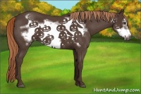 Horse Color:Liver Red Roan Frame 