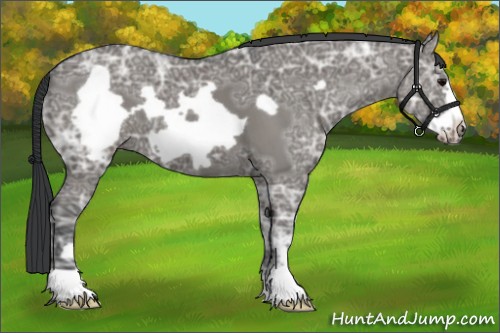 Horse Color:Grullo Ice Frame