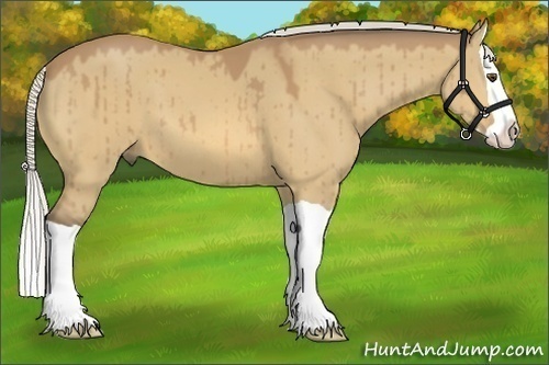 Horse Color:Silver Buckskin Dun Splash 