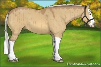 Horse Color:Silver Buckskin Dun Splash
