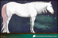 Horse Color:Plaid White Spotted Bay Ice Dun Splash Appaloosa