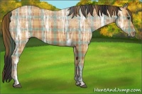 Horse Color:Plaid  Bay Ice 