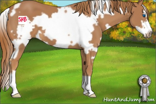 Horse Color:White Spotted Chestnut Frame 