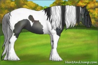 Horse Color:Black Tobiano