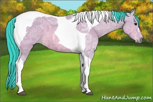 Horse Color:Watercolor Bay Ice Tobiano 