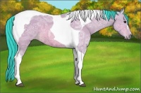 Horse Color:Watercolor Bay Ice Tobiano 