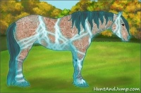Horse Color:Thunderstruck Bay Ice