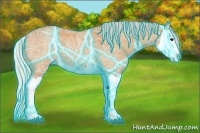 Horse Color:Thunderstruck Silver Bay Ice Roan Splash 