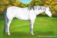 Horse Color:Watercolor Sable Champagne Ice Onyx Sabino 
