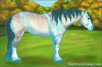 Horse Color:Thunderstruck Bay Ice Roan Onyx Splash Frame 