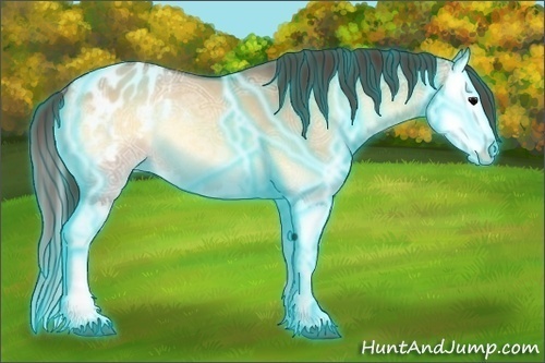 Horse Color:Thunderstruck Bay Ice Onyx Splash Appaloosa 