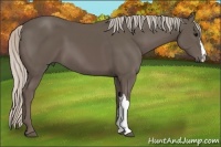 Horse Color:Silver Black 