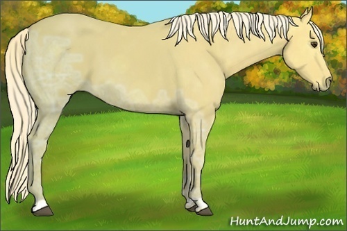 Horse Color:Palomino Ice 