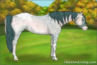 Horse Color:Watercolor Blue Onyx Ice Roan Appaloosa Rabicano 