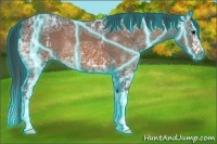 Horse Color:Thunderstruck White Spotted Brown Ice Splash 