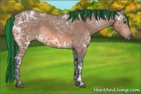 Horse Color:Painted Bay Ice 