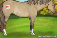 Horse Color:Liver Red Dun Rabicano 