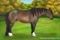 Horse Color:Brown 