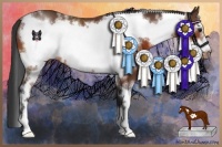 Horse Color:White Spotted Bay Sabino Frame