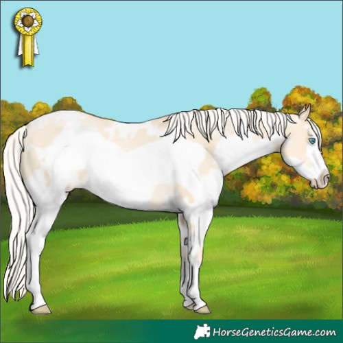 Horse Color:White Spotted Palomino Pearl Frame 