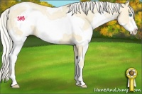 Horse Color:White Spotted Palomino Pearl Frame 