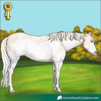Horse Color:White Spotted Palomino Pearl Frame 