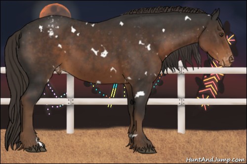 Horse Color:White Spotted Liver Chestnut Varnish