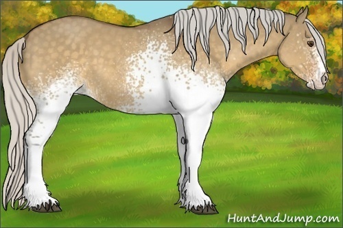 Horse Color:White Spotted Silver Buckskin Dun 