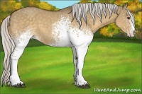 Horse Color:White Spotted Silver Buckskin Dun 