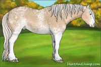 Horse Color:White Spotted Silver Buckskin Ice 