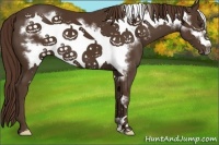 Horse Color:Liver Chestnut Frame 