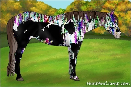 Horse Color:White Spotted Liver Chestnut Ice Frame Rabicano 