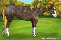 Horse Color:Painted Chestnut Ice Splash
