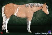 Horse Color:White Spotted Silver Bay 