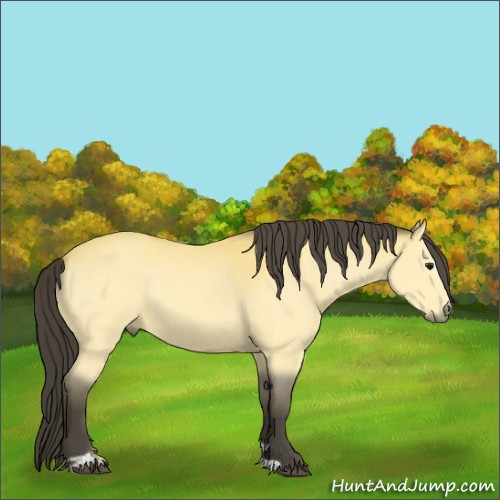 Horse Color:Buckskin Sabino 