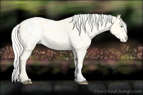 Horse Color:Silver Amber Cream Champagne Roan Dun Blanket 