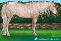 Horse Color:White Spotted Palomino Pearl Mushroom  and White Spotted Red Roan Mushroom 