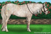 Horse Color:White Spotted Palomino Pearl  and White Spotted Red Roan 