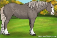 Horse Color:Silver Blue Roan Splash Rabicano