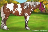 Horse Color:White Spotted Silver Bay Frame 