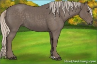 Horse Color:Silver Blue Roan