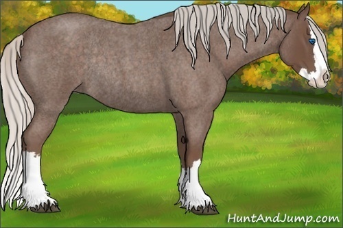 Horse Color:Silver Blue Roan Splash Rabicano