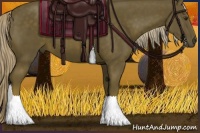 Horse Color:Chocolate Palomino 