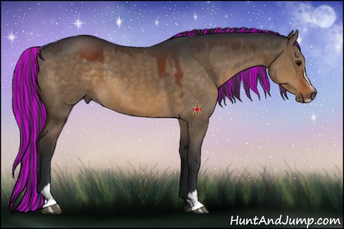 Horse Color:Painted Brown Dun Sabino 